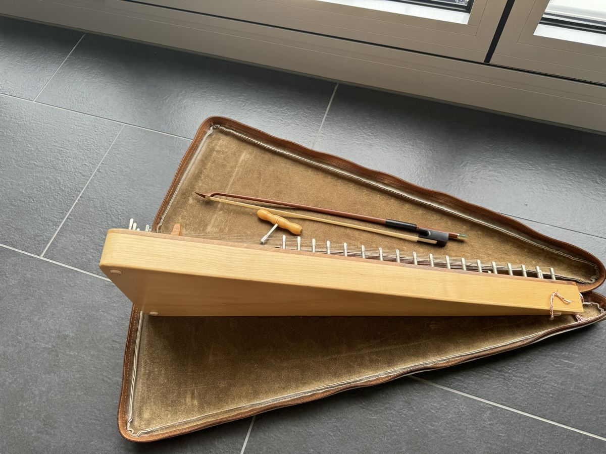 Cassapanche: Streichpsalter Saiteninstrument – Usato da Riehen venduto da mistercho 6