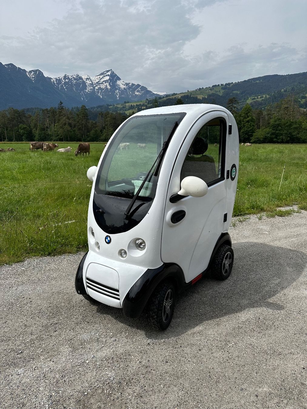 Veicoli elettrici: Elektromobil Pizol – Usato da Fürstenau venduto da Belmondo69