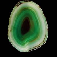 Elegante e Raffinata Fetta di Agata Verde Smeraldo