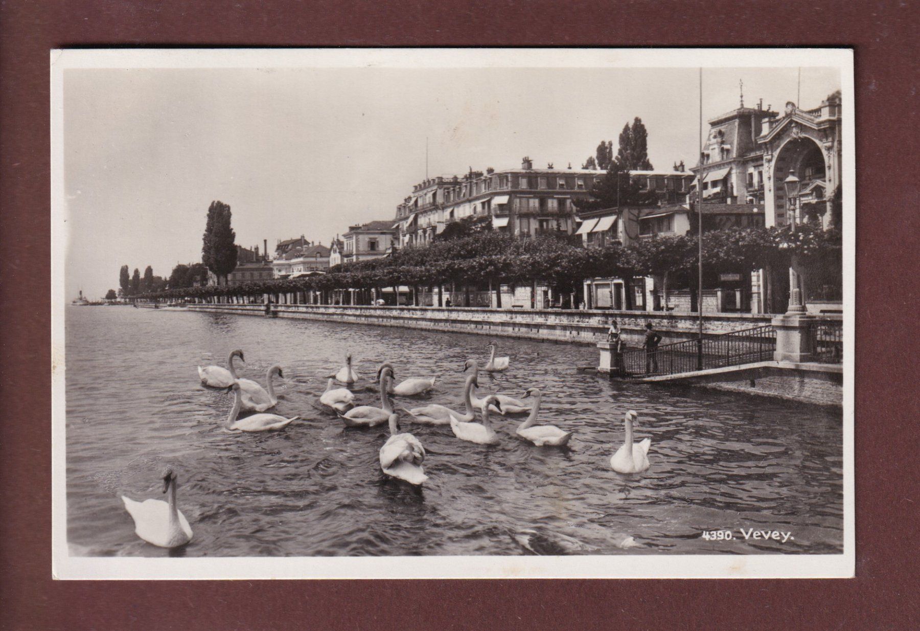 Cartoline postali: VEVEY - Les Cygnes - 1938 – Usato da Pully venduto da nicecards