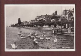 VEVEY - Les Cygnes - 1938