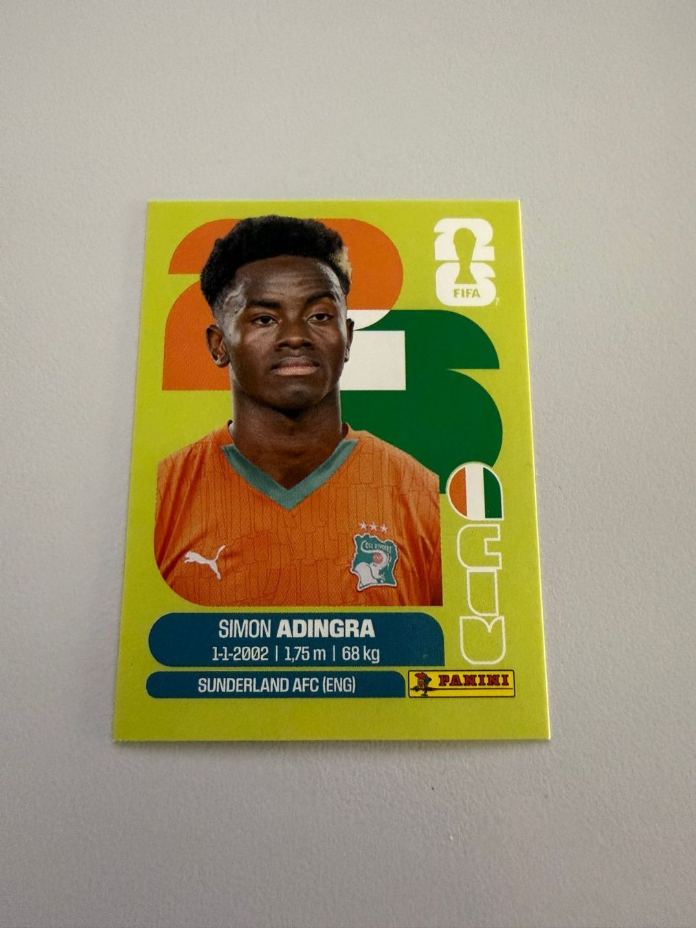 Panini Carte collezionabili: Carte panini 2026 - CIV 17 – Nuovo (secondo la descrizione) da La Neuveville venduto da Ibo2300