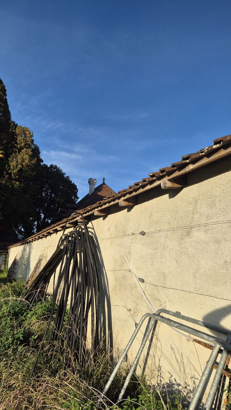 Casette da giardino & serre: Treibhaus – Usato da Gwatt (Thun) venduto da flo_95r8 1