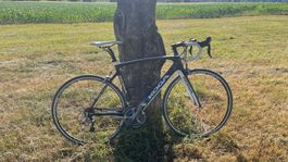 Rennrad Gr. 54