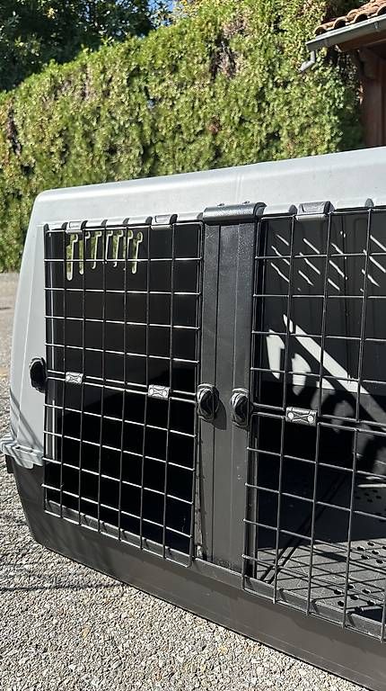 Gabbie, trasporto & Sicurezza: Gabbia trasporto cani – Usato da Cadro venduto da rac_cw68