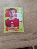Panini Sticker Kanada 14