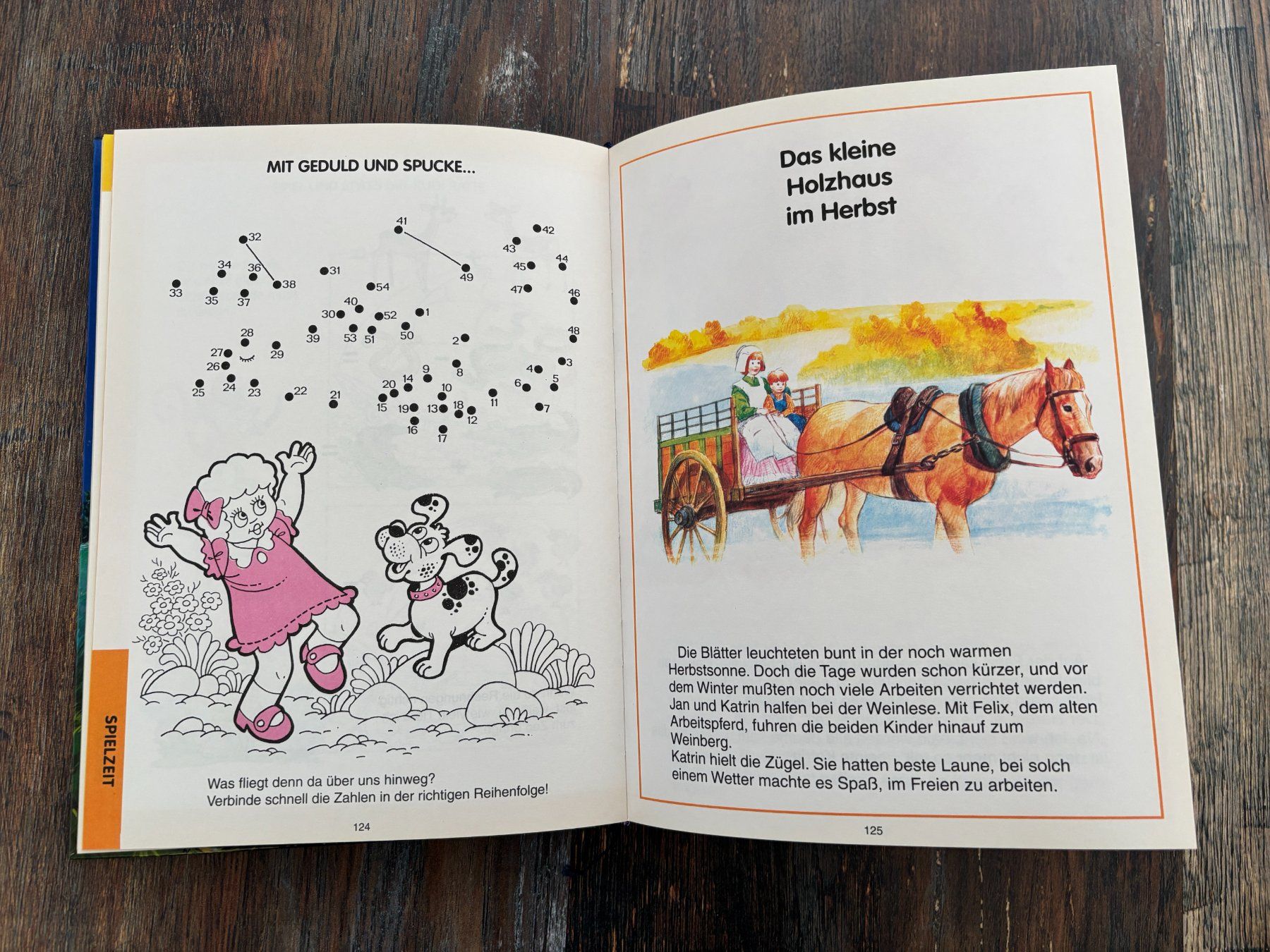 Libri: Lese- und Spielebuch – Usato da Hägendorf venduto da dgswiss 2