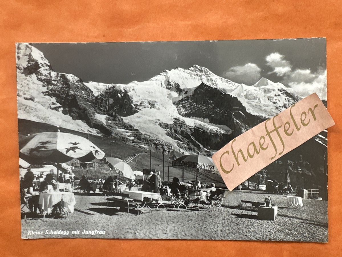 Cartoline postali: 1956 Kleine Scheidegg mit Jungfrau  – Usato da Zürich venduto da Chaeffeler