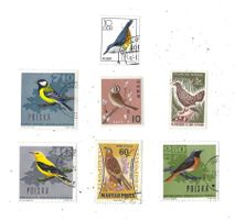 div. Briefmarken mit Sujet "Vögel"  mehrh. Polen u. Ungarn