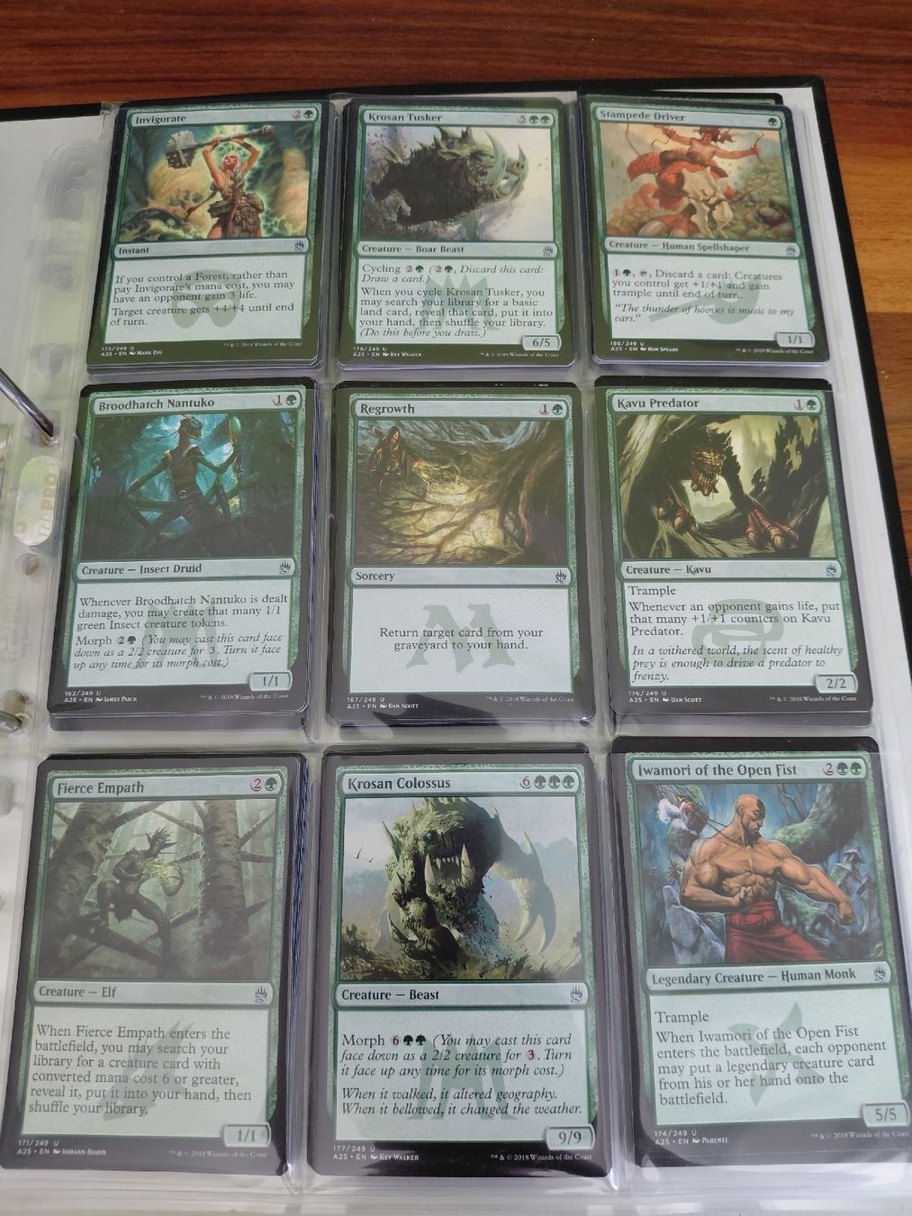 Magic The Gathering Carte collezionabili: Mtg Ordner voll mit M25 – Usato da Kehrsatz venduto da Jadeeeee 6