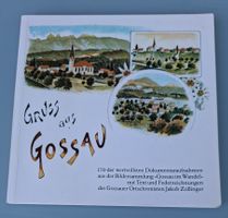 Gossau Bildband, Jakob Zollinger, Top Zustand, Rarität