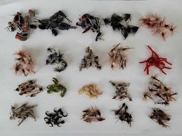 200 Stück verschidene Trockene ,Nass fliege und Nymphen
