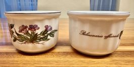 6 Villeroy & Boch Botanica Souffléförmchen