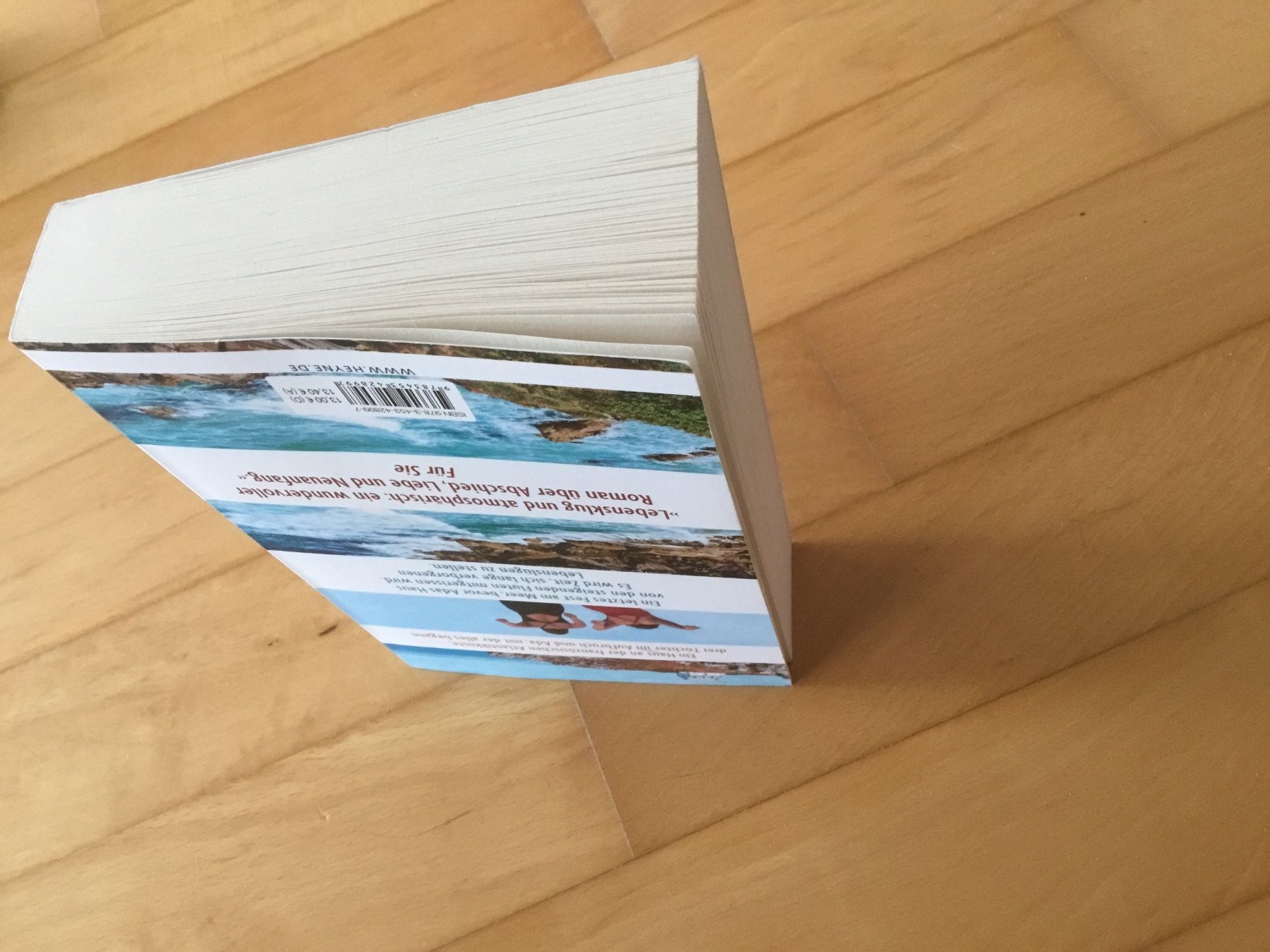 Libri: Katrin Burseg: Adas Fest – Usato da Kerzers venduto da Georges3210 3