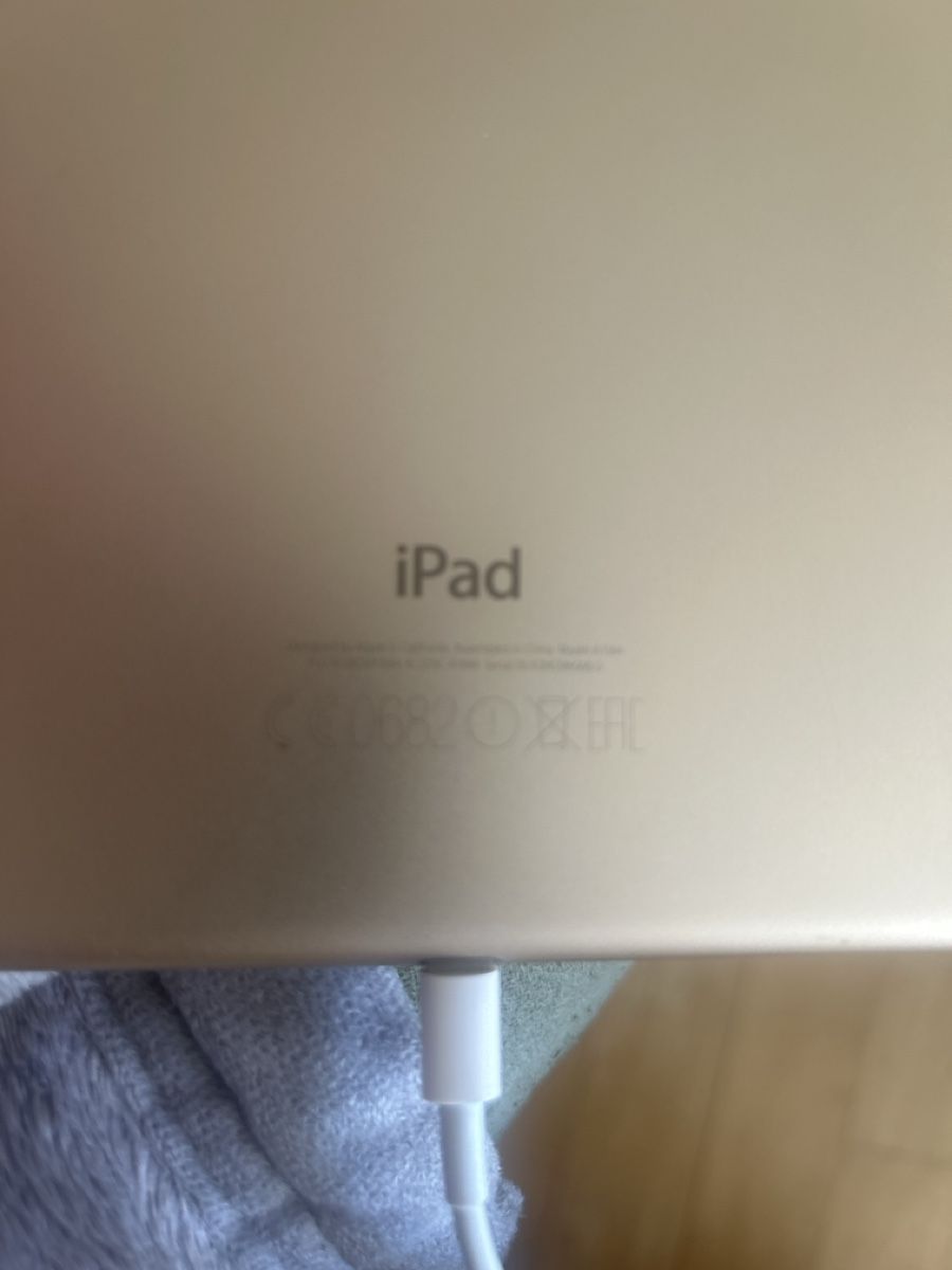 Apple Tablet PC: Apple iPad Pro 32gb – Usato da Schwerzenbach venduto da Brimacom 1