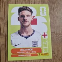 Carte FIFA World Cup 2026 Declan Rice United Edition ENG 10