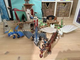 Playmobil Drachen zähmen leicht gemacht
