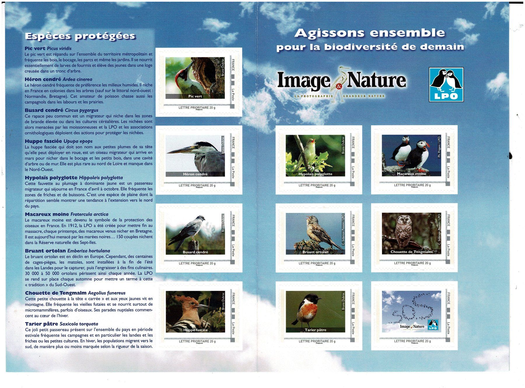 Tutti i francobolli: 12 Vögel  oiseaux  Bogen – Nuovo (secondo la descrizione) da Lausanne venduto da Whorvath