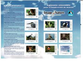 12 Vögel  oiseaux  Bogen