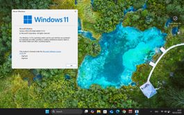 Windows 11 Pro OEM Lizenz - multilingual - digital Lieferung