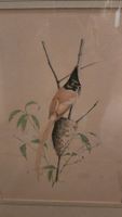 Original Vogel Aquarell Zeichnung von P. Roth, 1983. 54x37