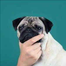Profile image of Ctrl_Alt_Esc