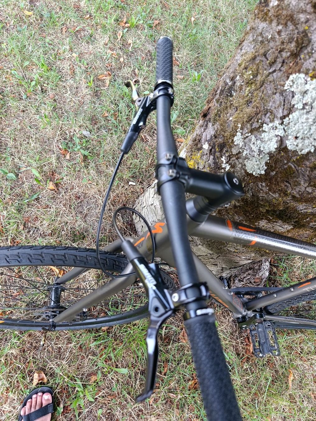 Vélos: Vélo urbain Specialized Source Two – Courroie Gates – D'occasion à Monthey par Sws5 1
