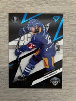 Sportzoo EVZ A. Wingerli playoffs 07/60