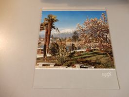Vintage Kalender 1958 Trusa, Rarität für Sammler!