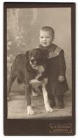 Fotografie Alfr. Schreiber, Jarmen, Baby
