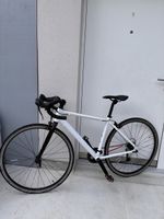 Rennvelo Van Rysel / EDR Easy – 19 Zoll – frisch gewartet