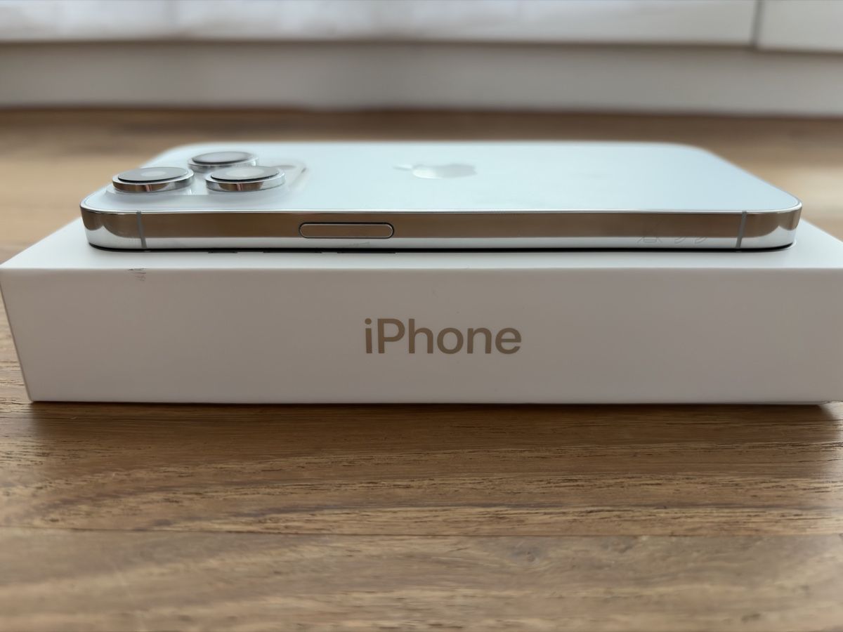 Apple Portables: Apple iPhone 14 Pro 256GB Silber iOS 16.6 Jailbreak – D'occasion à Magden par whosnipedmyass 4