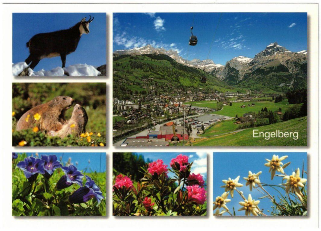 Cartes postales: Engelberg - 6 Bild AK – D'occasion à Binningen par Mountainrider