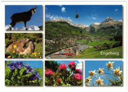 Engelberg - 6 Bild AK
