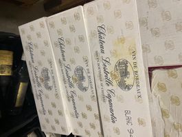 36 Flaschen Château Lestrille Capmartin 1994