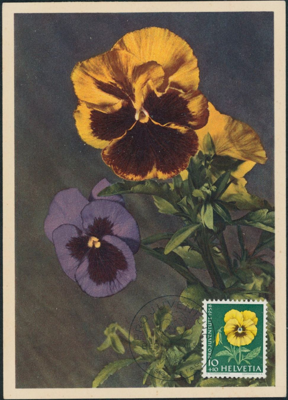 Tutti i francobolli: 1958 - Pro Juventute - Maximumkarten MK - Ersttag Stempel ET – Usato da Schindellegi venduto da leecollect 3