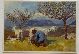 Carl Liner Appenzell, Pro Juventute, Landwirtschaft, Ziege