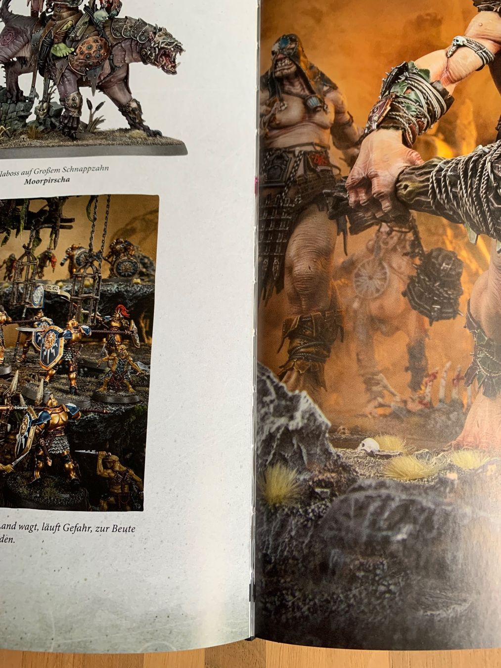 Libri: Warhammer Age of Sigmar Regelbuch – Usato da Winterthur venduto da Compiorg 6