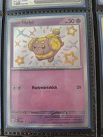 Shiny Hefel