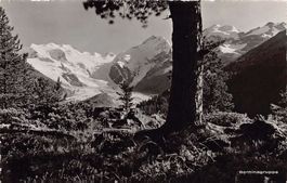 ALPIN: Berninagruppe, gelaufen 1957
