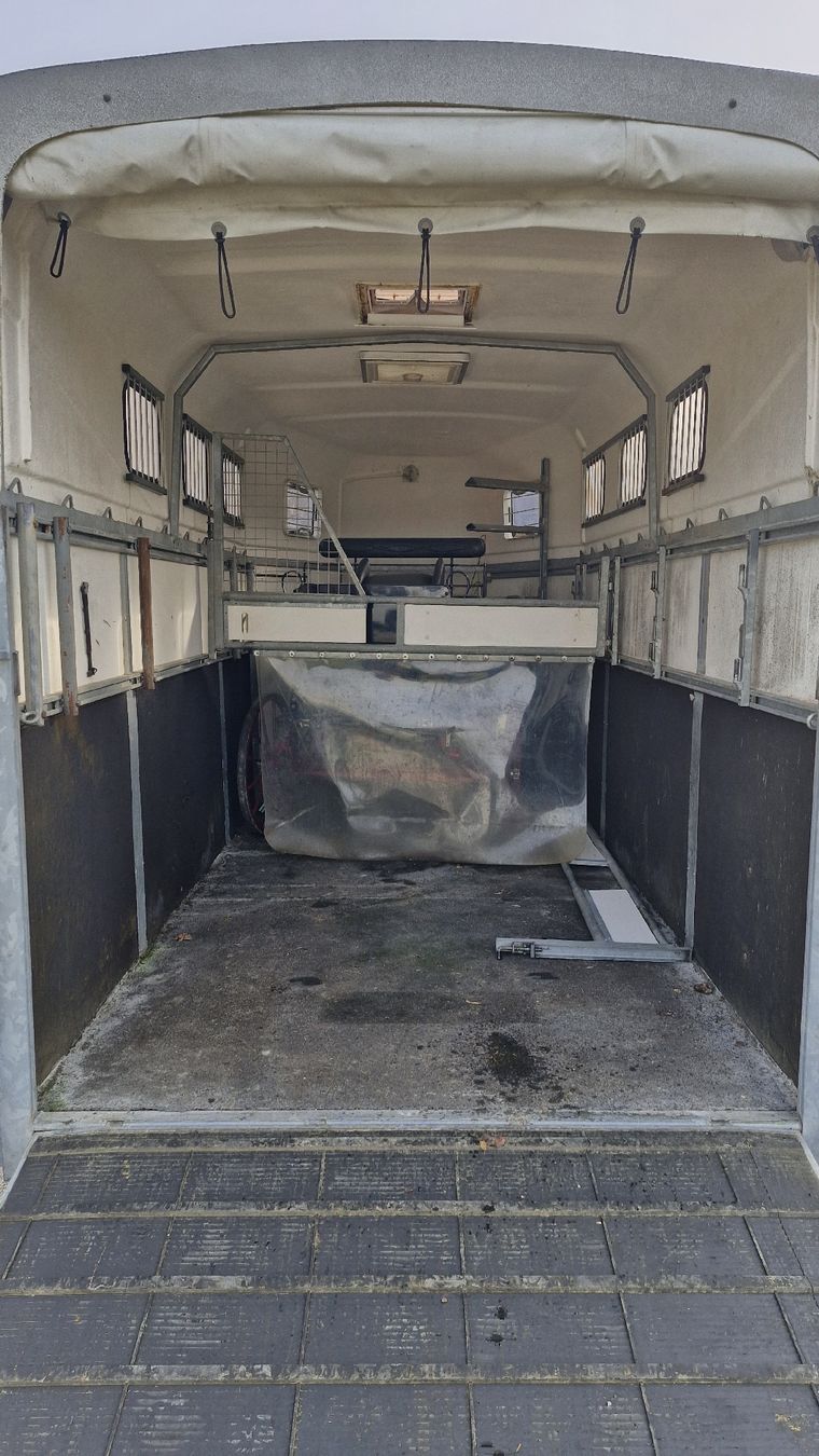 Rimorchi: Pferdeanhänger – Usato da Leuzigen venduto da Huski701 4
