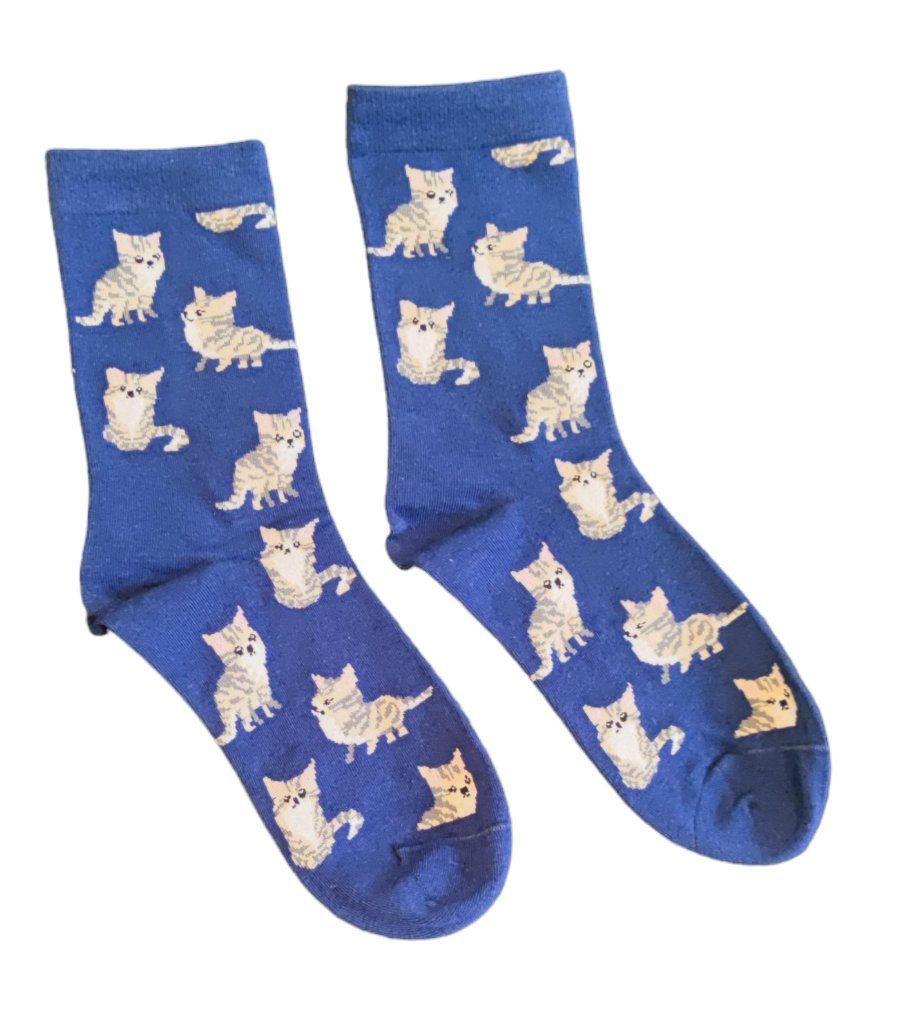 Calze: Socken Katzen / Cats – Nuovo e nell'imballaggio originale da Zürich venduto da amysmith