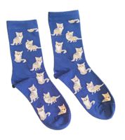 Socken Katzen / Cats