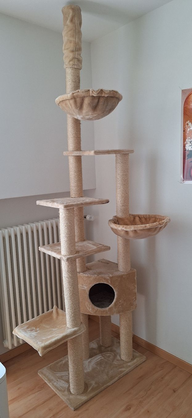 Katzenbaum - Kratzbaum: Katzenbaum – Gebraucht aus Würenlos von mir_p2xq