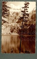 AK sw sepia Oeschinensee, mit Föhre BE © Flück ≈ 1915