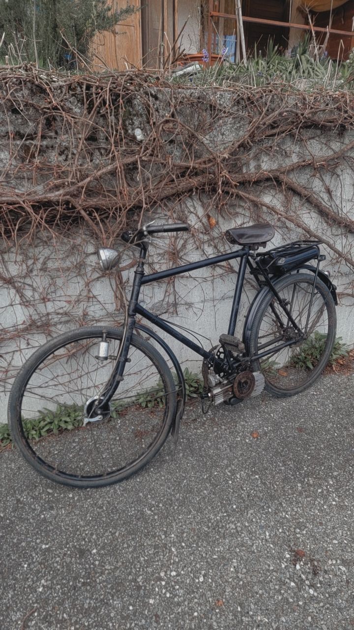 Mofas: Fahrrad mit Hilfsmotor Mosquito – Gebraucht aus Schwanden-Brienz von ryf_82dh