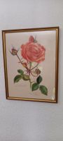 Bild rose lotti günthart