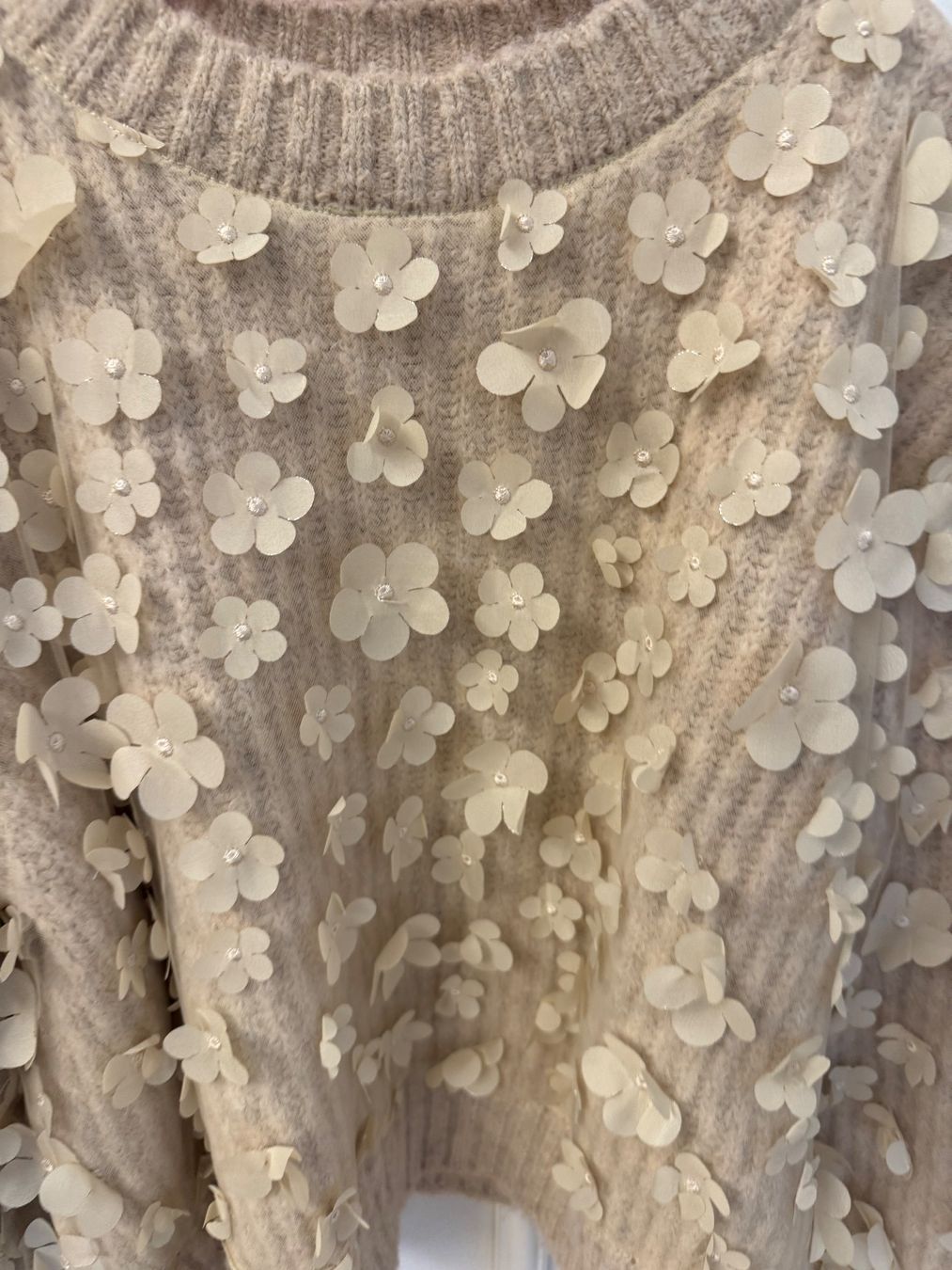 Zara Maglioni & Felpe: Pull Zara Ts – Usato da Conches venduto da chn_hgl6 8