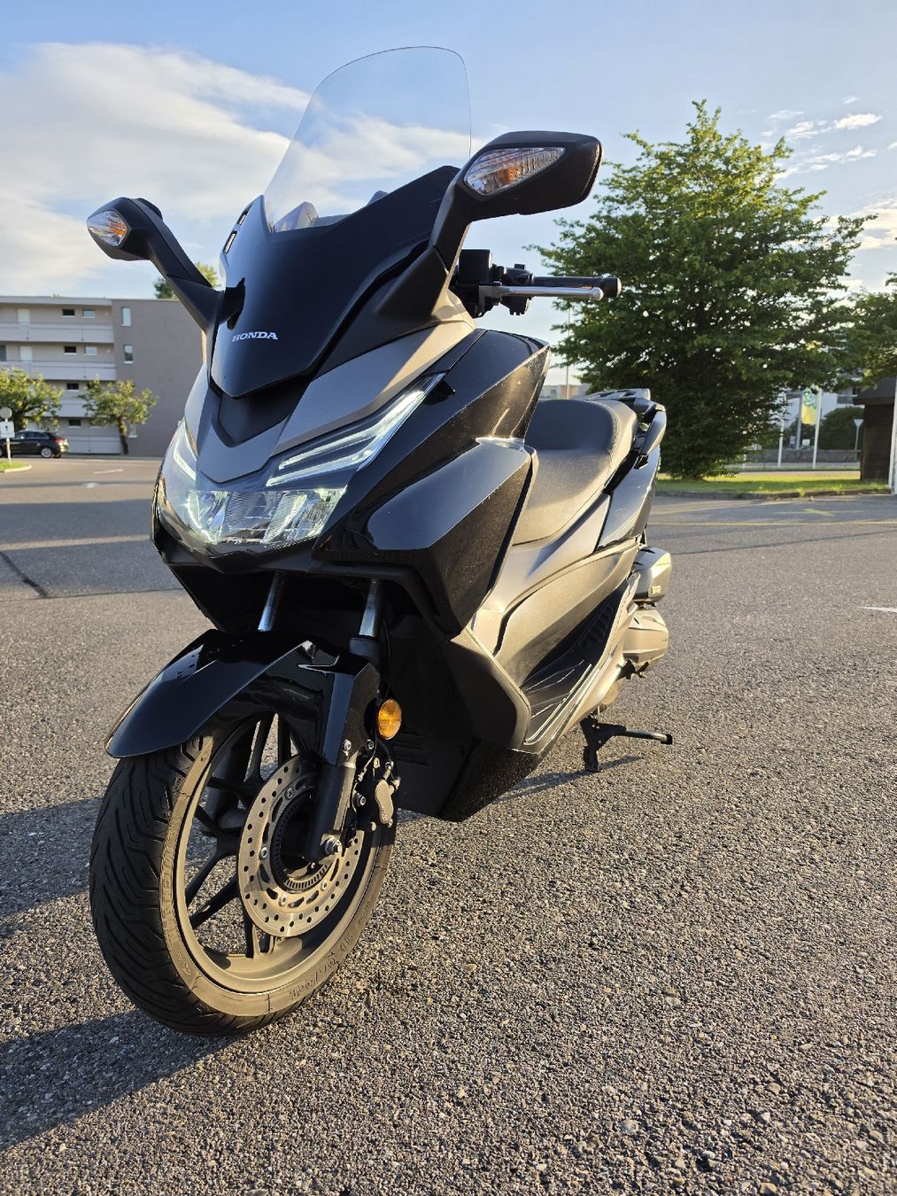 Honda Scooters: Honda Forza 125  – D'occasion à Pfäffikon ZH par Ne_im 1