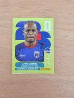 Panini Fifa CPV 16
